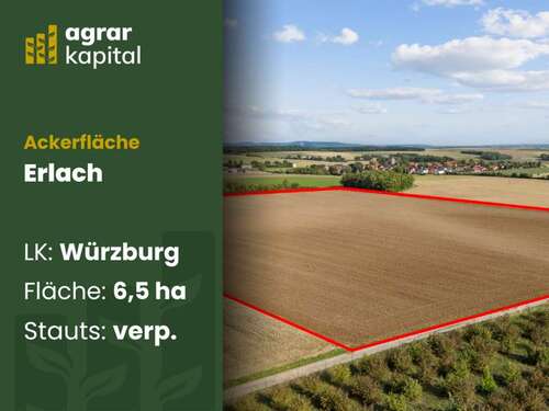 Foto - Grundstück in Erlach 622.000,00 € 65481 m²