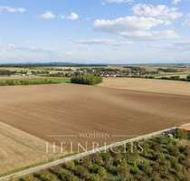 Grundstück in Erlach 622.000,00 € 65481 m²