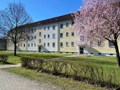 Foto - Wohnung zum Mieten in Hagenow 380,00 € 59.27 m²