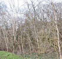 Grundstück in Bad Zwischenahn 111.000,00 € 3004 m² Grundstück in Bad Zwischenahn 111.000,00 € 3004 m²