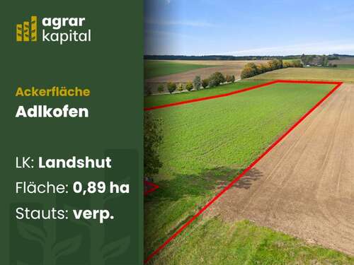 Foto - Grundstück zu verkaufen in AdlkofenWollkofen 169.500,00 € 8939 m²