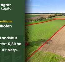 Grundstück zu verkaufen in AdlkofenWollkofen 169.500,00 € 8939 m² - Adlkofen/Wollkofen Grundstück zu verkaufen in AdlkofenWollkofen 169.500,00 € 8939 m² - Adlkofen/Wollkofen