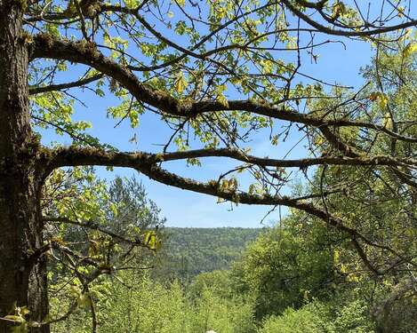 Foto - Grundstück zu verkaufen in Duggendorf 249.000,00 € 2882 m²