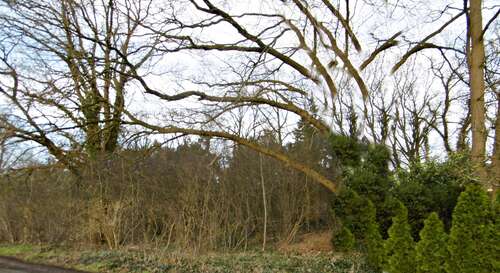 Foto - Grundstück in Petersfehn II 109.000,00 € 2504 m²