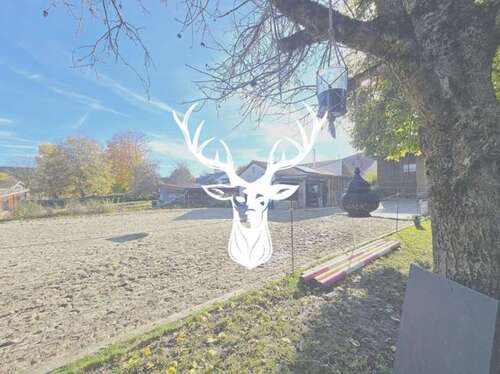 Foto - Wohnung zum Kaufen in Leibertingen 749.000,00 € 298 m²