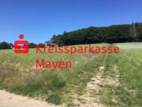 Foto - Grundstück zu verkaufen in Mayen 96.000,00 € 384 m²