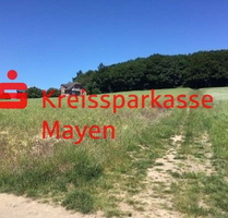 Grundstück zu verkaufen in Mayen 96.000,00 € 384 m²