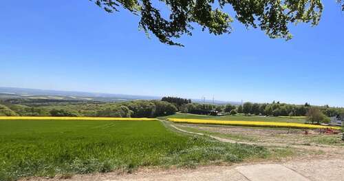 Foto - Grundstück zu verkaufen in Mayen 96.000,00 € 384 m²