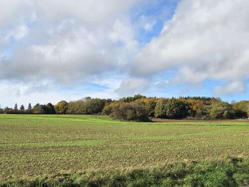 Foto - Haus zum Kaufen in Köln 685.000,00 € 100 m²