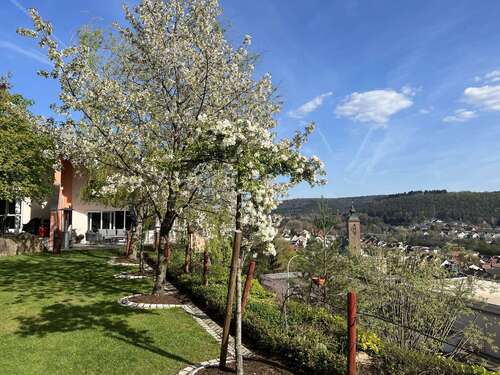 Foto - Haus zum Kaufen in Rodalben 1.790.000,00 € 350 m²