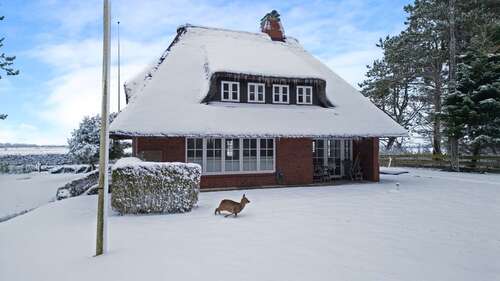 Foto - Haus zum Kaufen in Witsum 2.195.000,00 € 130.57 m²