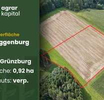 Grundstück in Roggenburg 66.400,00 € 9219 m²