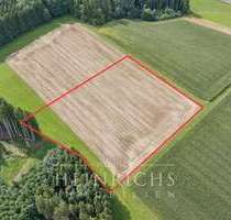 Grundstück in Roggenburg 66.400,00 € 9219 m²