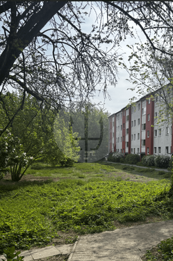 Foto - Wohnung zum Kaufen in Berlin 238.000,00 € 48.8 m²
