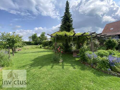 Foto - Haus zum Kaufen in Buchen (Odenwald) Hainstadt 775.000,00 € 300 m²