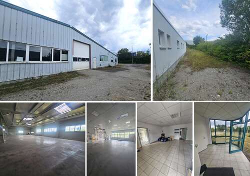 Foto - Halle in Blankenhain 5.135,00 € 1300 m²