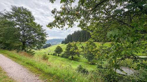 Foto - Grundstück zu verkaufen in Baiersbronn 130.000,00 € 877 m²