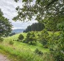 Grundstück zu verkaufen in Baiersbronn 130.000,00 € 877 m²