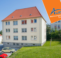 Wohnung zum Mieten in Aue-Bad Schlema 338,22 € 56.37 m²