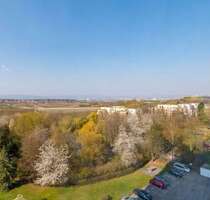 Wohnung zum Kaufen in Mainz 159.000,00 € 40 m²