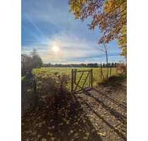 Haus zum Kaufen in Hamburg 759.000,00 € 165.5 m²