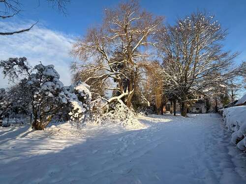 Foto - Grundstück zu verkaufen in Börnsen 225.000,00 €