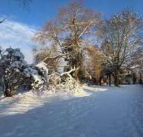 Grundstück zu verkaufen in Börnsen 225.000,00 €