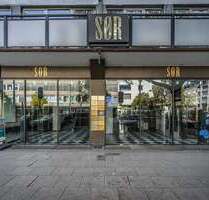 Einzelhandel in Wiesbaden 7.900,00 € 505 m²