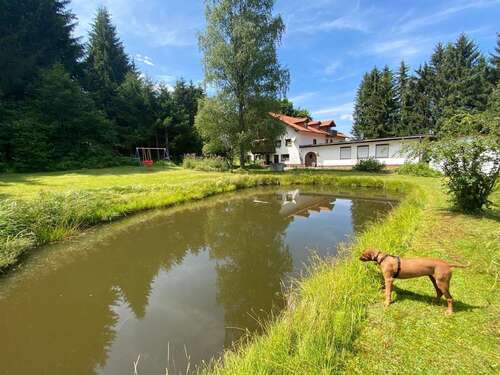 Foto - Haus zum Kaufen in Neureichenau 480.000,00 € 484 m²