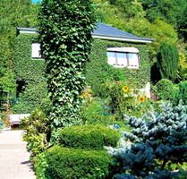 Haus zum Kaufen in Bad Ems 249.000,00 € 88 m²