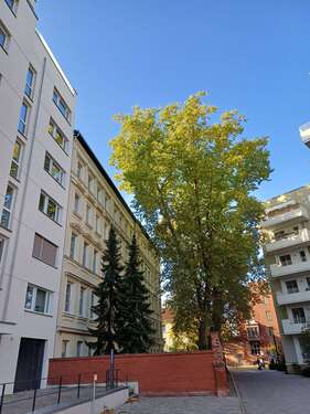 Foto - Wohnung zum Mieten in Berlin 2.145,00 € 126 m²