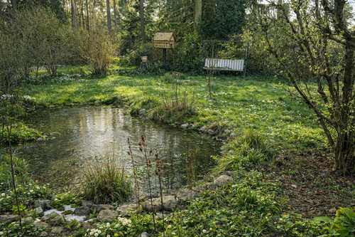 Foto - Grundstück zu verkaufen in Basdorf 199.900,00 € 1085 m²