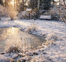 Grundstück zu verkaufen in Basdorf 249.500,00 € 1085 m²