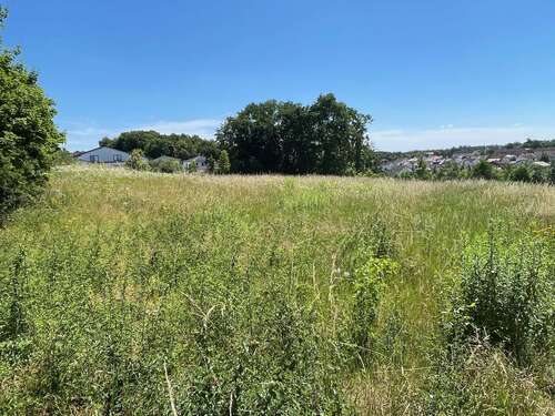 Foto - Grundstück zu verkaufen in Burglengenfeld 494.549,00 € 1032 m²