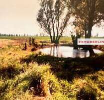 Grundstück zu verkaufen in Marlow 25.000,00 € 2891 m²