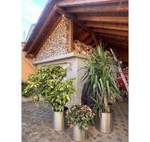 Haus zum Kaufen in Clausen 289.000,00 € 150 m²