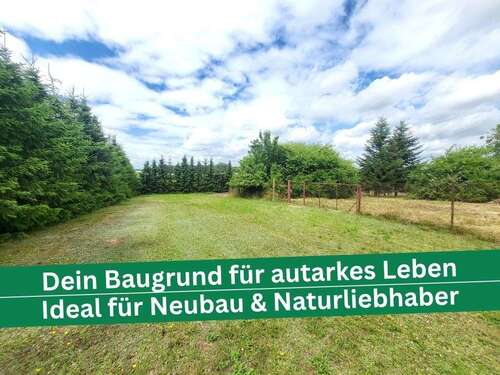 Foto - Grundstück zu verkaufen in Granzin OT Beckendorf 43.000,00 € 4000 m²