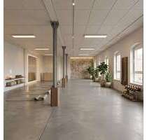 Büro in Chemnitz 875,00 € 250 m²
