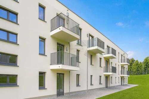 Foto - Wohnung zum Mieten in Chemnitz 495,00 € 34.16 m²