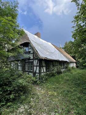 Foto - Haus zum Kaufen in Fintel 248.000,00 € 400 m²