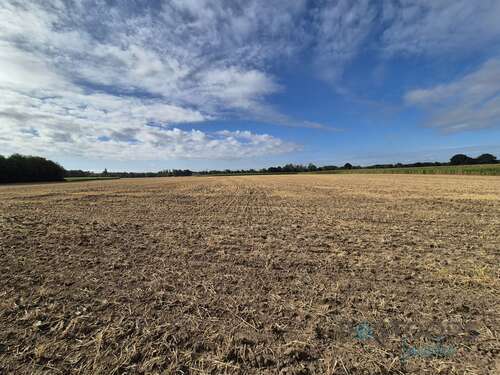 Foto - Grundstück in Goch 125.000,00 € 10270 m²