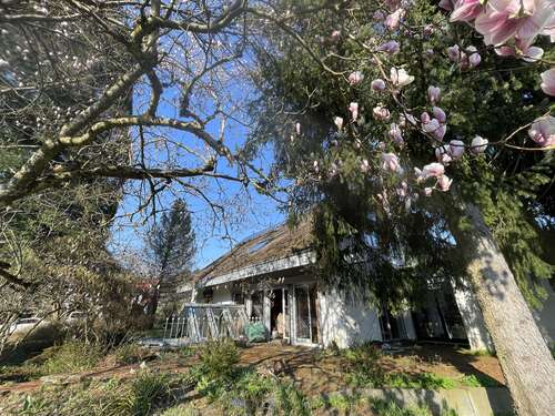 Foto - Wohnung zum Kaufen in Buchenbach 629.000,00 € 185 m²