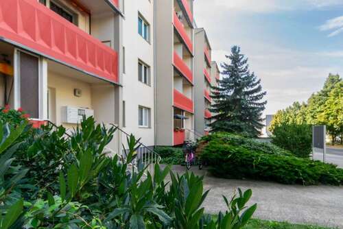 Foto - Wohnung zum Mieten in Lutherstadt Wittenberg 291,00 € 57.33 m²