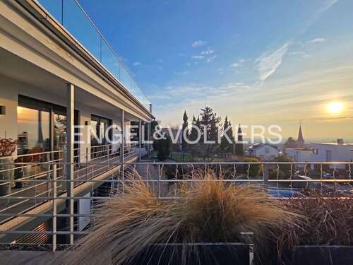 Foto - Haus zum Kaufen in Nußloch 2.490.000,00 € 332 m²