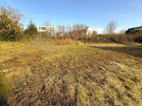 Foto - Grundstück zu verkaufen in Ober-Ramstadt 175.000,00 € 341 m²