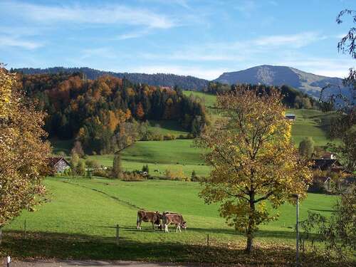 Foto - Haus zum Kaufen in Oberstaufen 780.000,00 € 230 m²