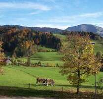 Haus zum Kaufen in Oberstaufen 780.000,00 € 230 m²