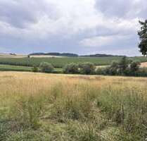 Spezialgewerbe in Hohenthann-Bergham 744.188,00 € 80295 m²