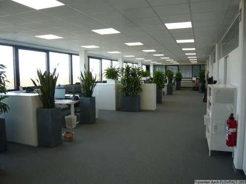 Foto - Büro in Karlsruhe 2.645,20 € 389 m²