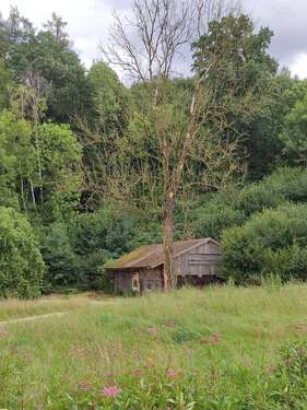 Foto - Haus zum Kaufen in Adlkofen 145.000,00 € 60 m²